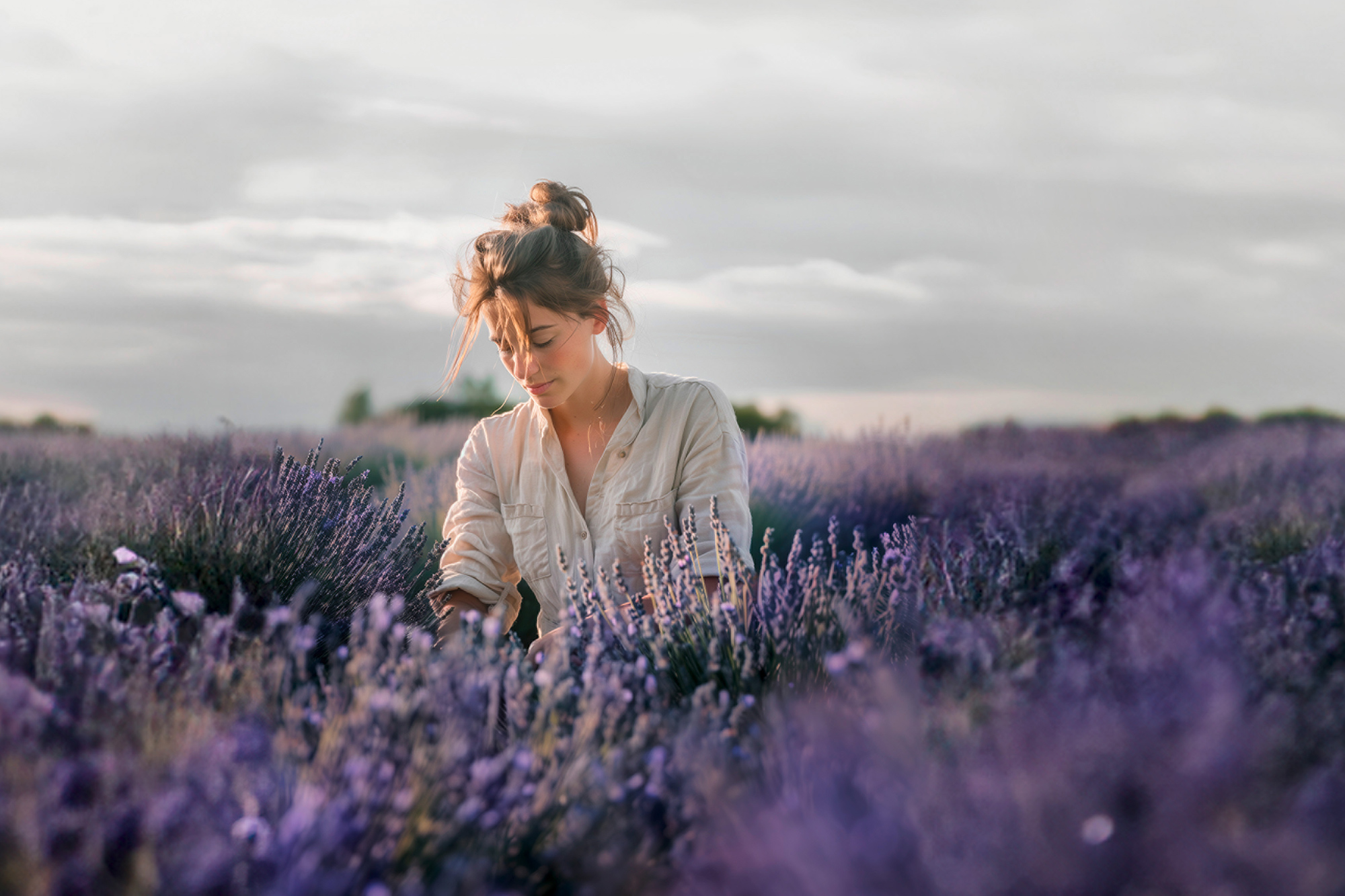 Lavendel Lady